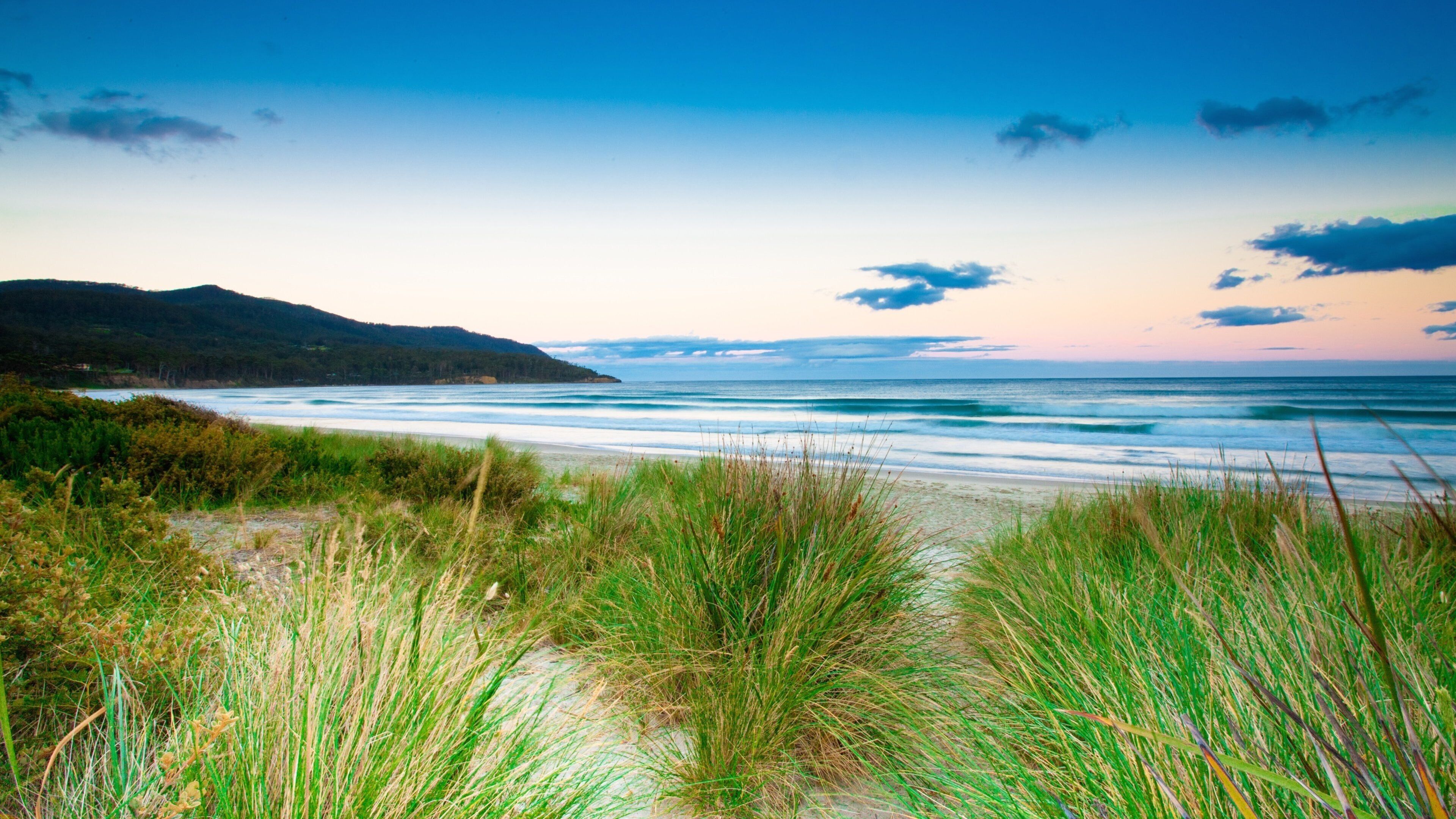 A coastal landscape with a beach, grassy dunes, and a mountain in the background.