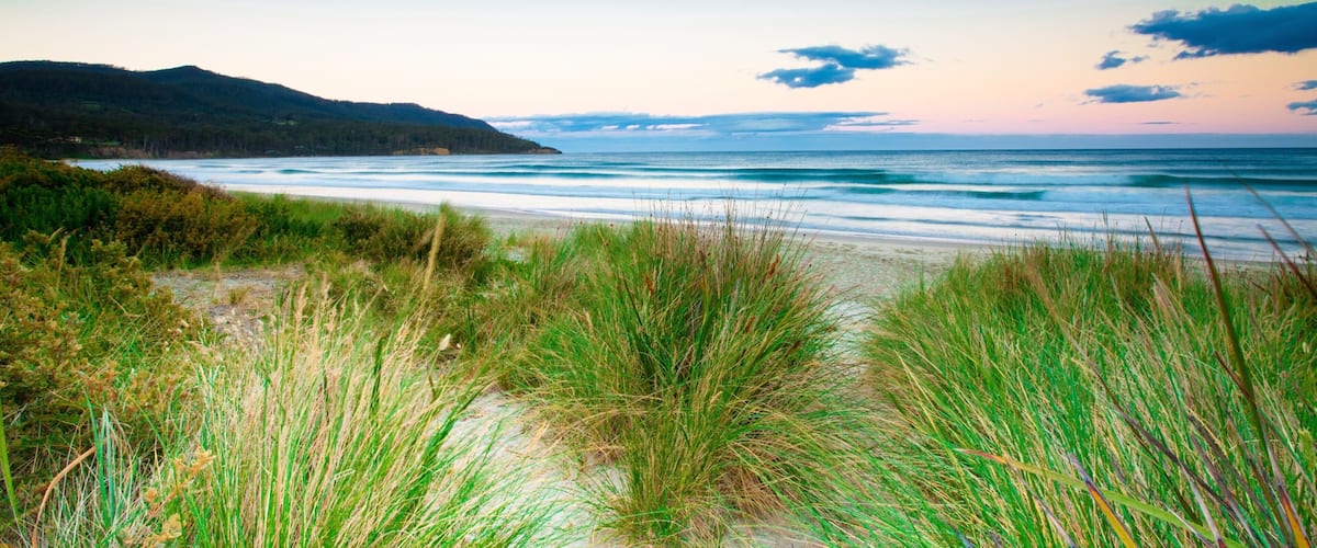 A coastal landscape with a beach, grassy dunes, and a mountain in the background.