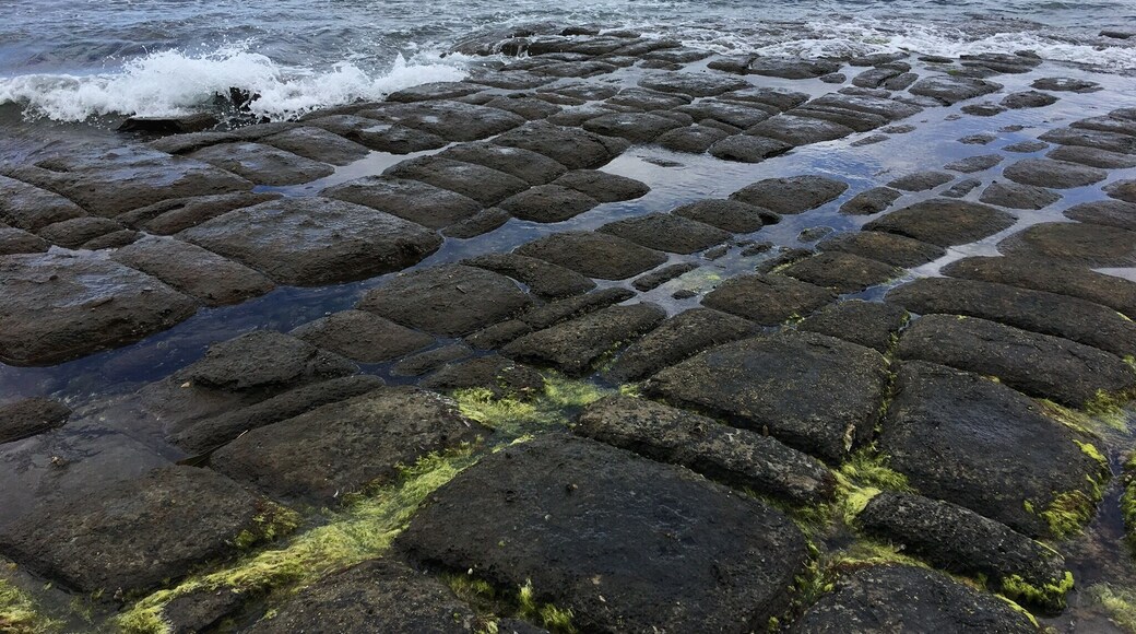 Natural rock formations that look like paving stones! #green
#lifeatexpedia