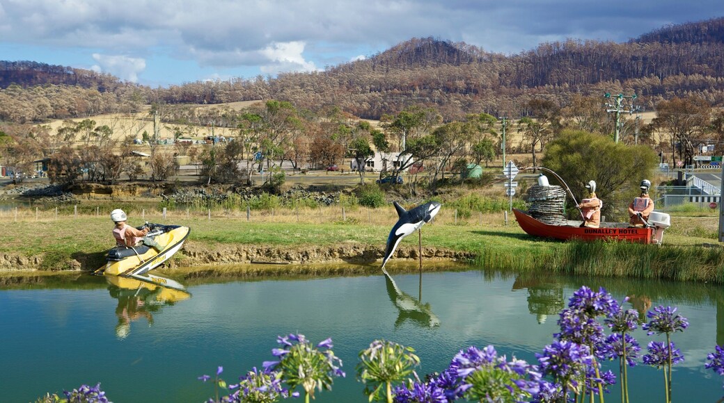 Eaglehawk Neck montrant scĂšnes tranquilles et mare