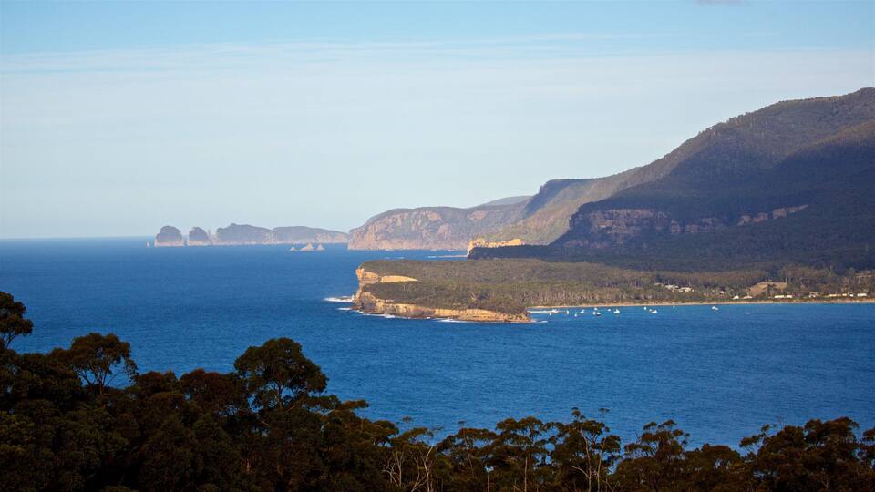 A coastal landscape with cliffs, a clear blue sea, and dense green foliage.