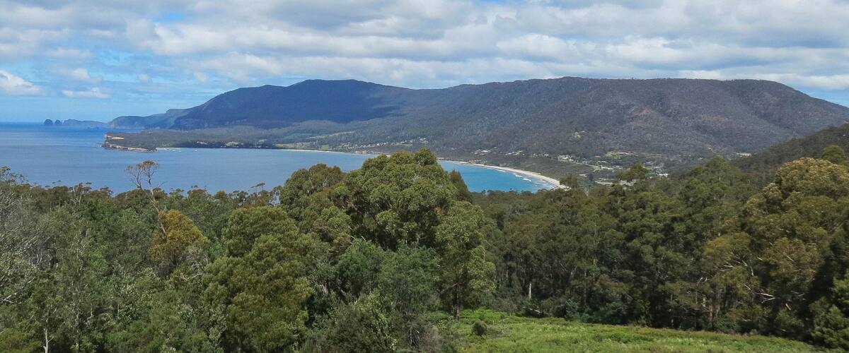 Un paisaje costero con una playa, un bosque denso y montañas al fondo.