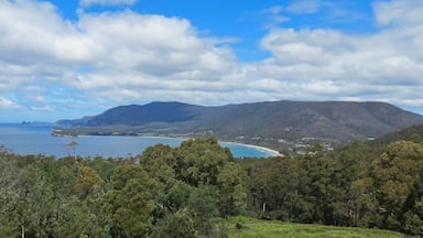 A coastal landscape with a beach, dense forest, and mountains in the background.