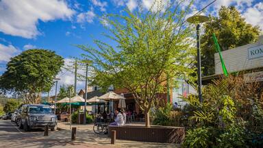 Bellingen showing a small town or village