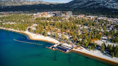 A coastal town with a marina, snow-covered mountains, and dense forests.