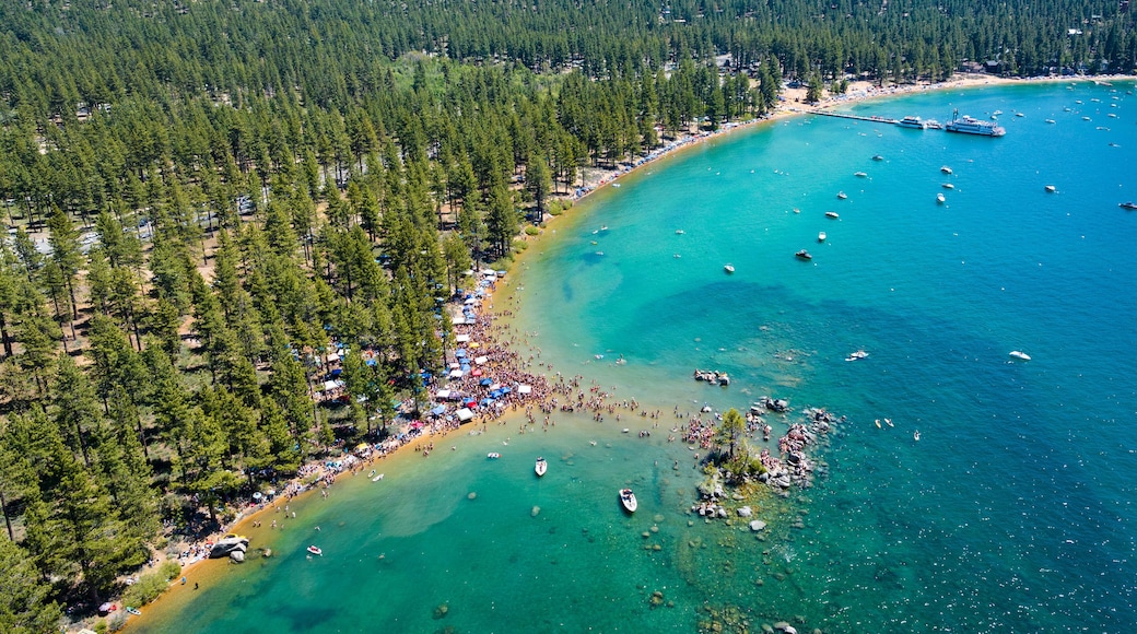 Lake Tahoe - 4th of July Party Crowds at Zephyr Cove