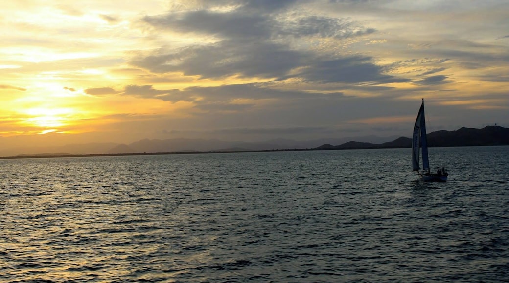 The name is justified. The beauty here is magnetic. Head to the YHA Koala and Nature Reserve to hang out with some of OZ's cuddliest symbol.