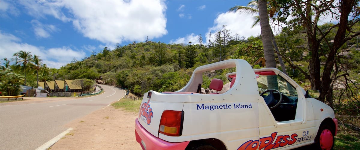 En vit och rosa bil med texten ”Carless Rentals” och ”Magnetic Island” på, parkerad på en grusväg med ett tropiskt landskap i bakgrunden.