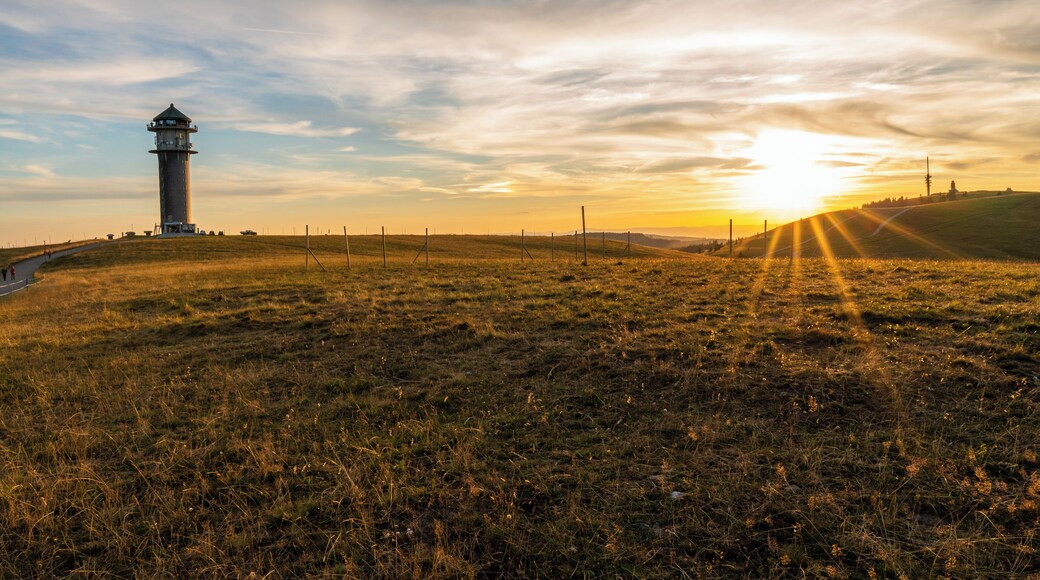 Can be awesome up there. Especially when the sun hits you like this.
#golden