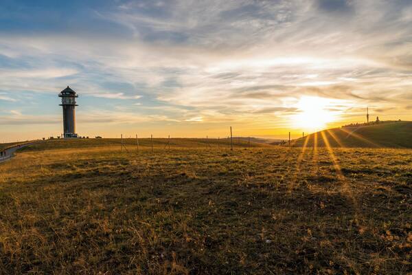 Can be awesome up there. Especially when the sun hits you like this.
#golden