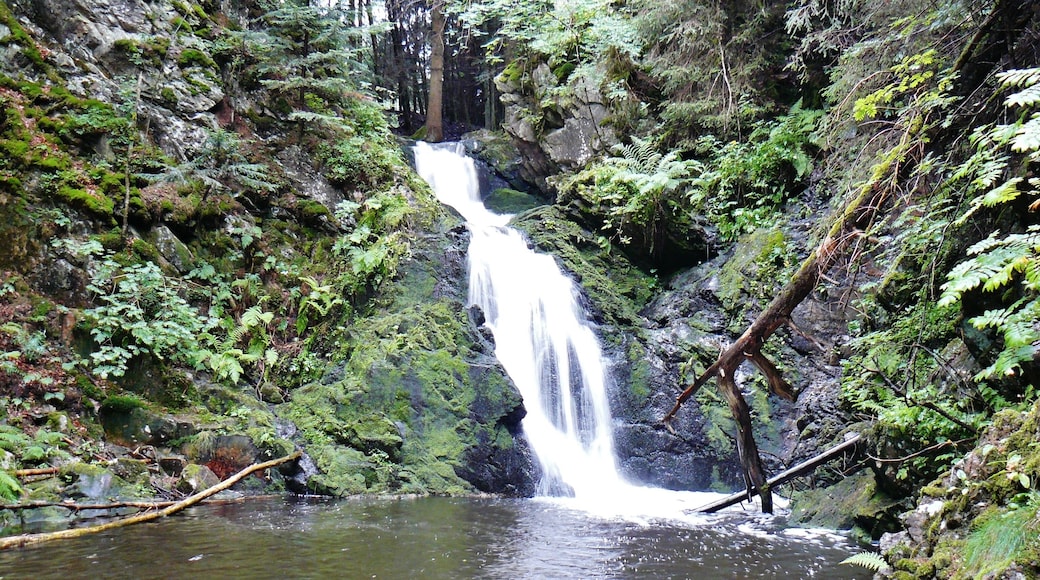 Falkauer Wasserfall Haslach in Vorderfalkau