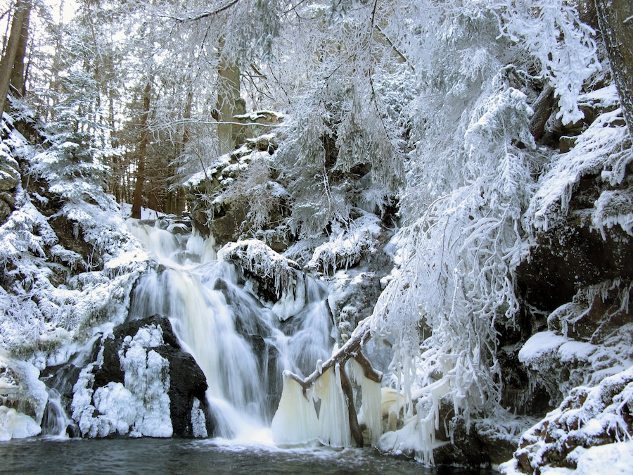 Une cascade enneigée au cœur d’une forêt.