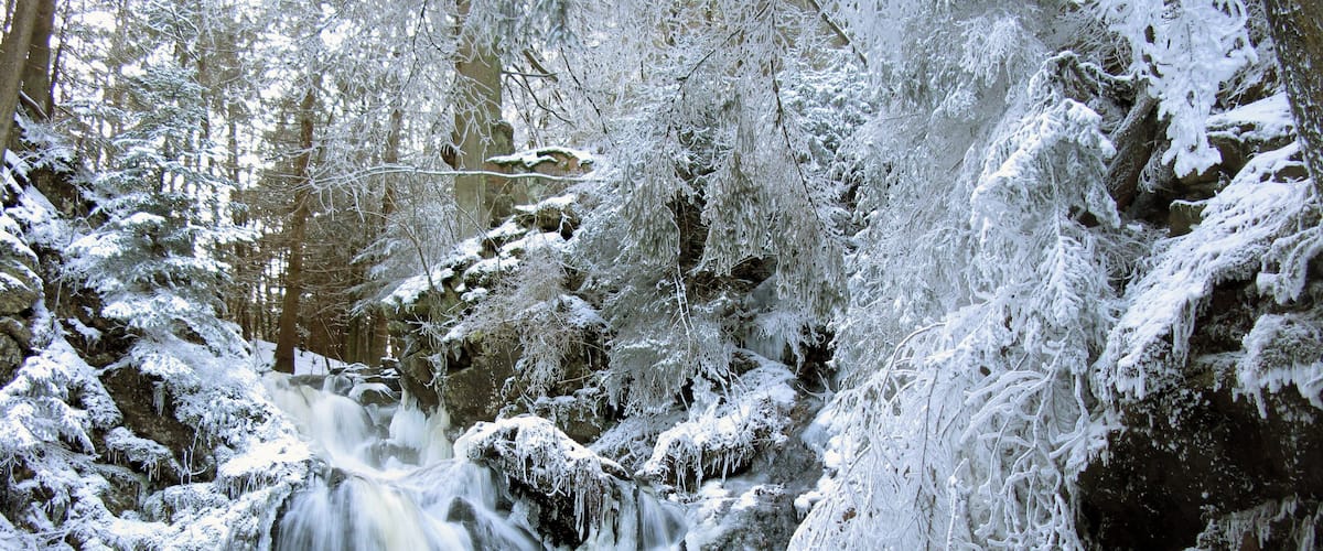 A snow-covered waterfall in a forest.