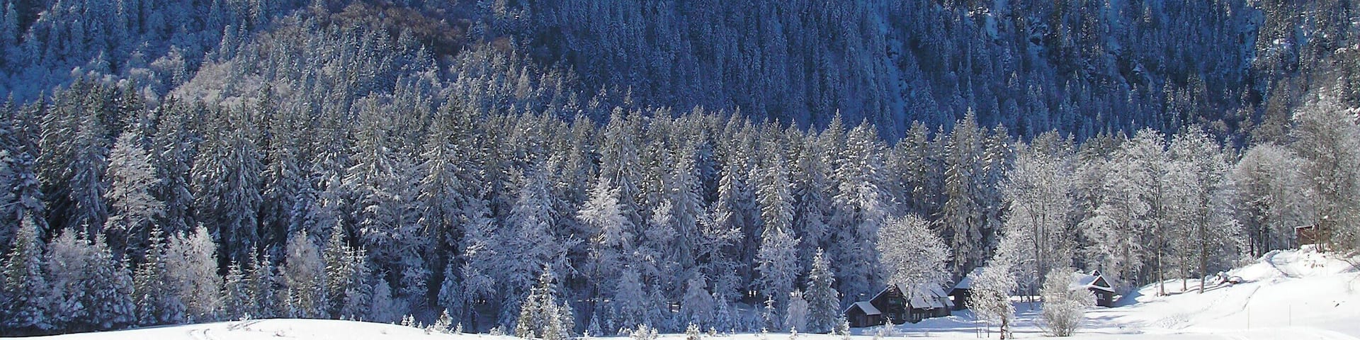 Blick auf den Seebuck.