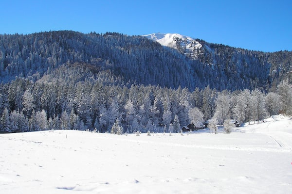 Blick auf den Seebuck.