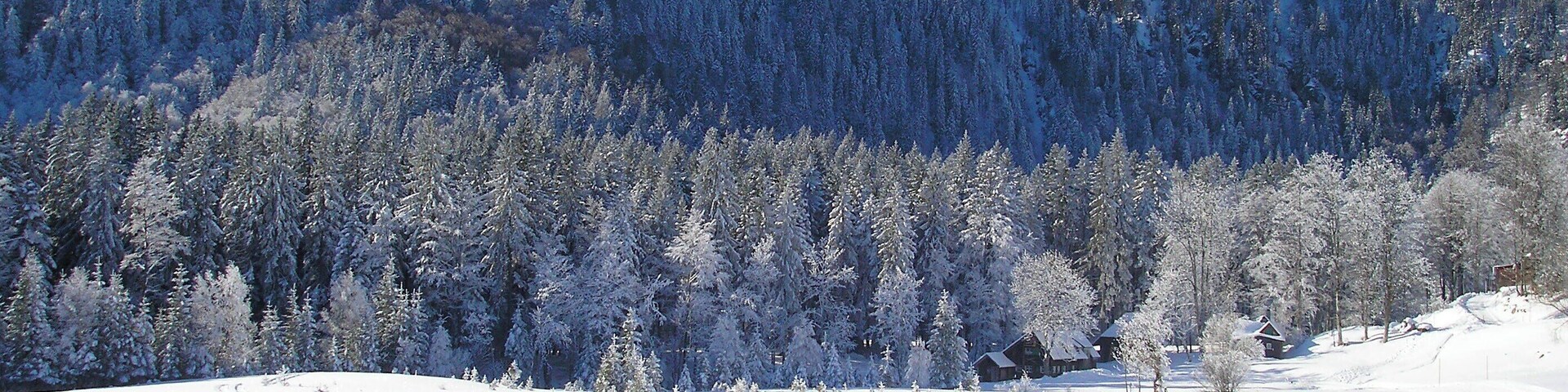 Blick auf den Seebuck.