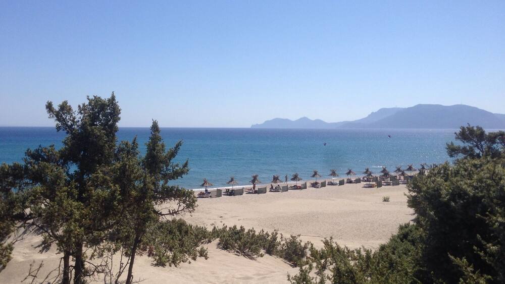 Exotic beach , paradise for nudists . Cedar trees , sand dunes , crystal clear water . Kos , Greece