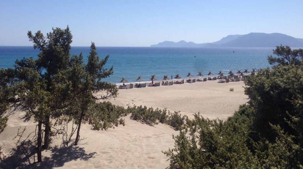 Exotic beach , paradise for nudists . Cedar trees , sand dunes , crystal clear water . Kos , Greece
