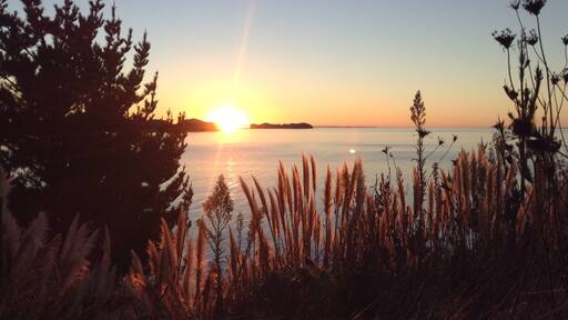 Sunset along Colville Road driving north of Coromandel Town.