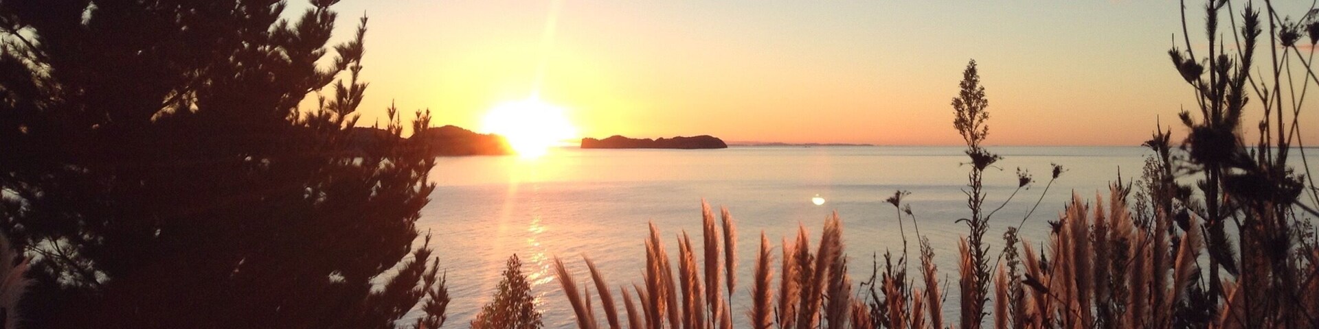 Sunset along Colville Road driving north of Coromandel Town.