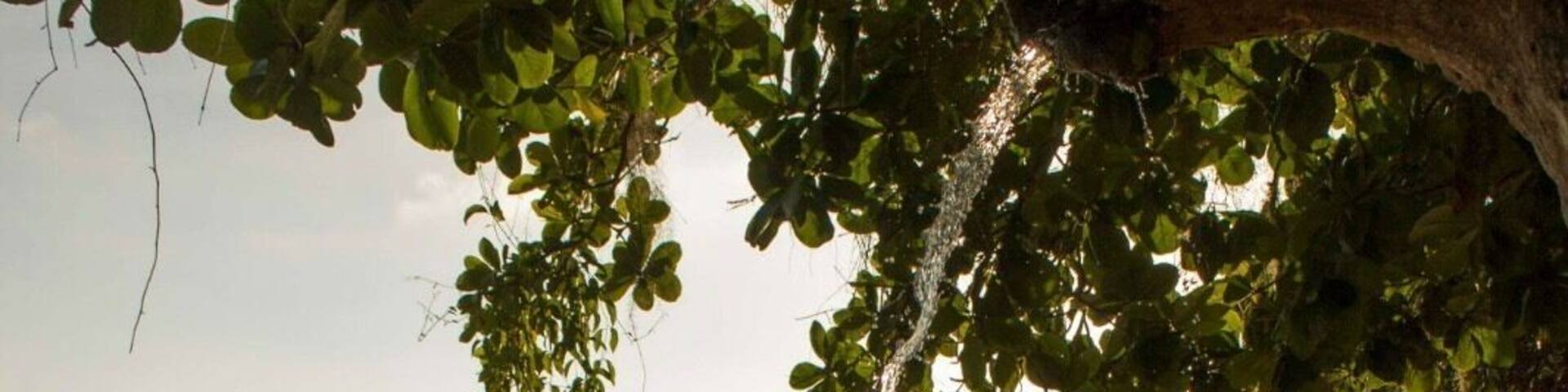 Where the sugar meets the salt.. #ilhagrande #brasil