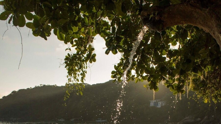 Where the sugar meets the salt.. #ilhagrande #brasil