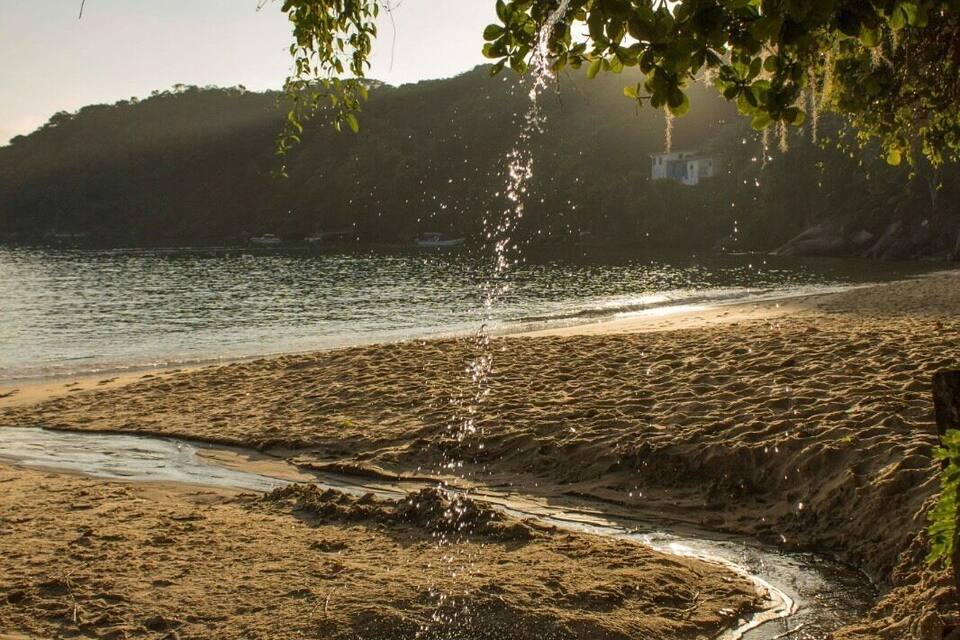 Uma praia com uma árvore projetando sombras, um riacho e uma colina ao longe.
