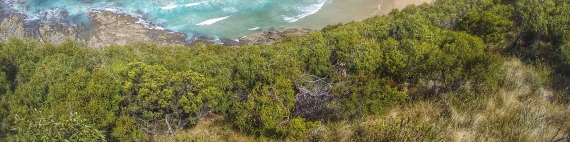 What a nice stretch of coast just along the Great Ocean Road. Don't miss this lookout with really nice views and a picnic area in the shade.