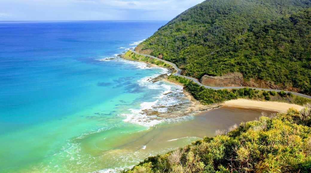 Great view from Teddy's lookout.
Drive through one of the steepest paved roads in the world to get there.
#LifeAtExpedia