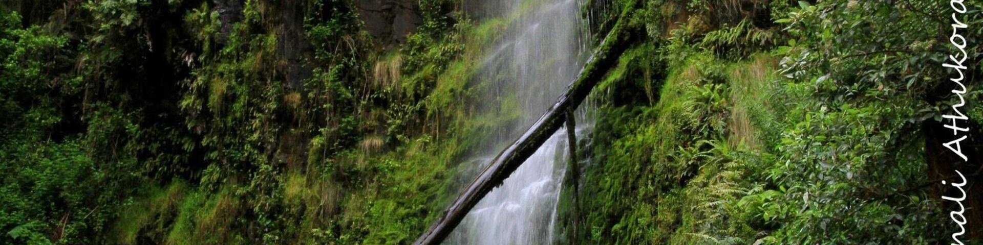This is one of the many attractions through scenic Great Ocean Road.....A 9km drive from Lorne....this 30m falls is one the famous waterfalls in the Otways.. down some 240 steps to the base of the falls you'll fell the mist of water...
One can also take the 7.5km walking path- Erskine River track to Lorne along the river passing Splitter falls and Straw falls
#green