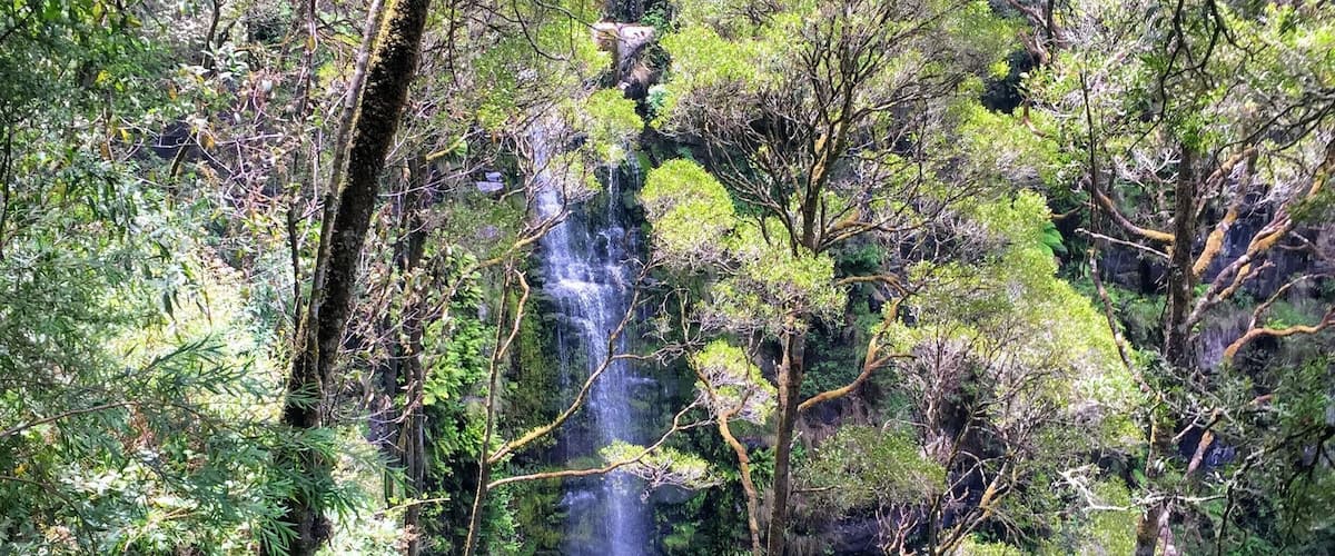 #LifeAtExpediaGroup #MiddleOfNowhere #ChasingWaterfalls
Tip: Stop off for breakfast or lunch in nearby Lorne before/after visiting Erskine Falls. It’ll give you energy for the climb down to the falls or you’ll work up an appetite on the way back up!
