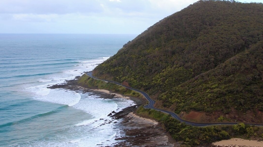 A must do in the cute little town of Lorne. Great coffee and cafes to be found. This little walk gives great views of the crazy roads and beautiful landscape.