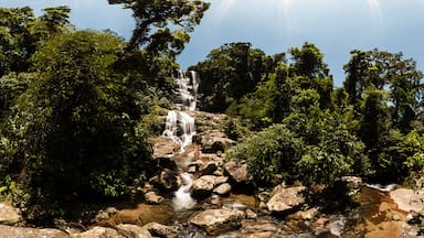 Una cascada que se precipita sobre rocas, rodeada de abundante follaje verde.