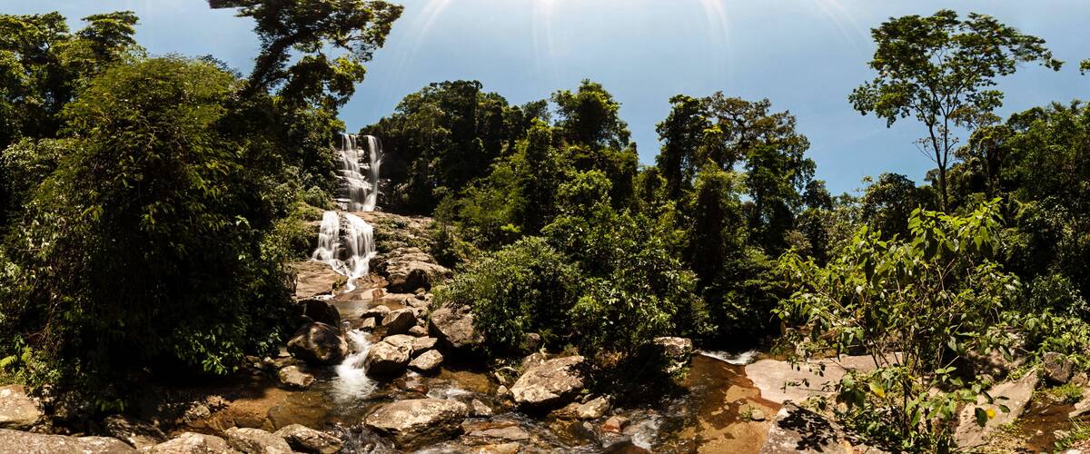 A waterfall cascading over rocks surrounded by dense green foliage.