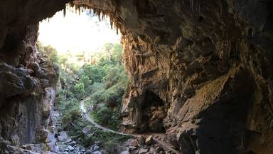 An amazing walk to the self guided Nettle Cave from Caves House at Jenolan. It takes approximately 60-90 minutes depending on how many photo stops you take. Itâs absolutely spectacular inside and outside the cave.