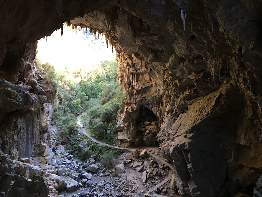 An amazing walk to the self guided Nettle Cave from Caves House at Jenolan. It takes approximately 60-90 minutes depending on how many photo stops you take. It’s absolutely spectacular inside and outside the cave.