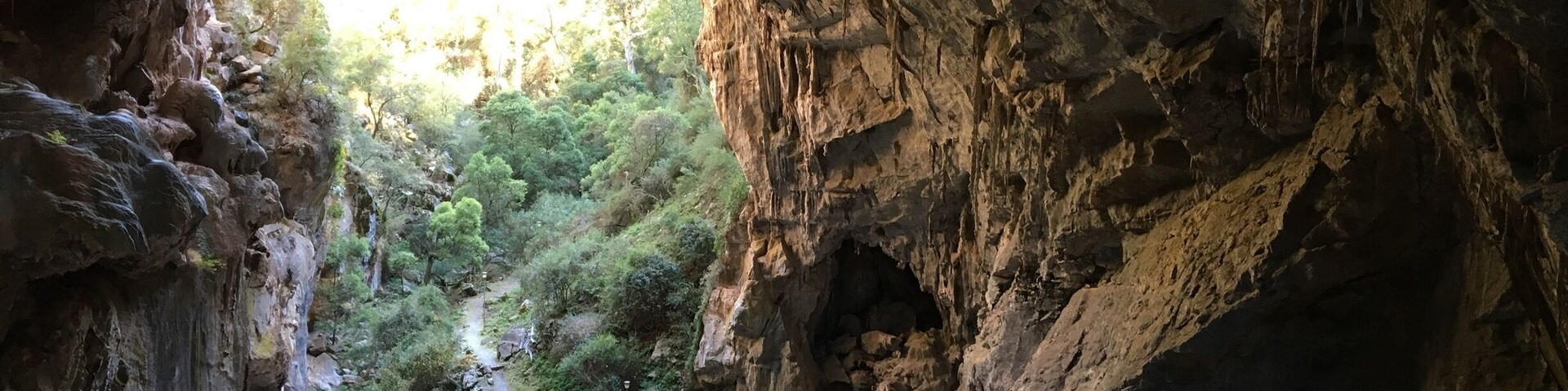 An amazing walk to the self guided Nettle Cave from Caves House at Jenolan. It takes approximately 60-90 minutes depending on how many photo stops you take. It’s absolutely spectacular inside and outside the cave.