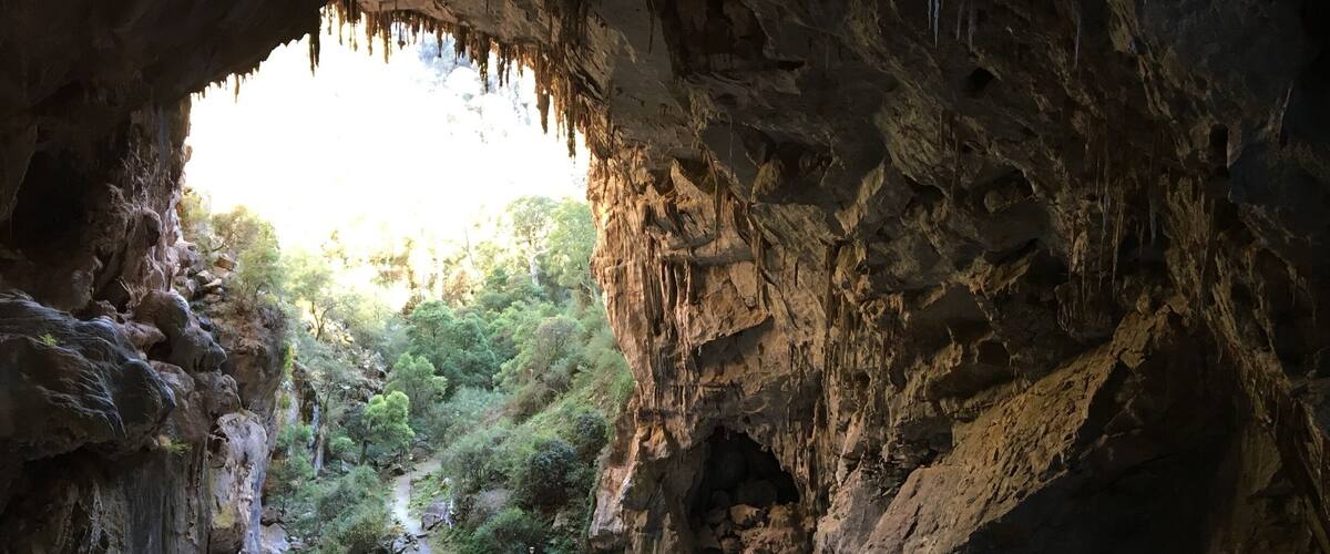A cave entrance with a rocky path leading outside.
