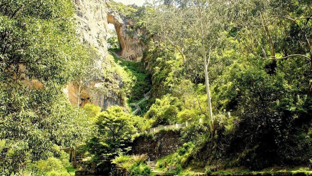 Ein üppiger, grüner Wald mit einer felsigen Klippe und einer kleinen Brücke über einem ruhigen Fluss.