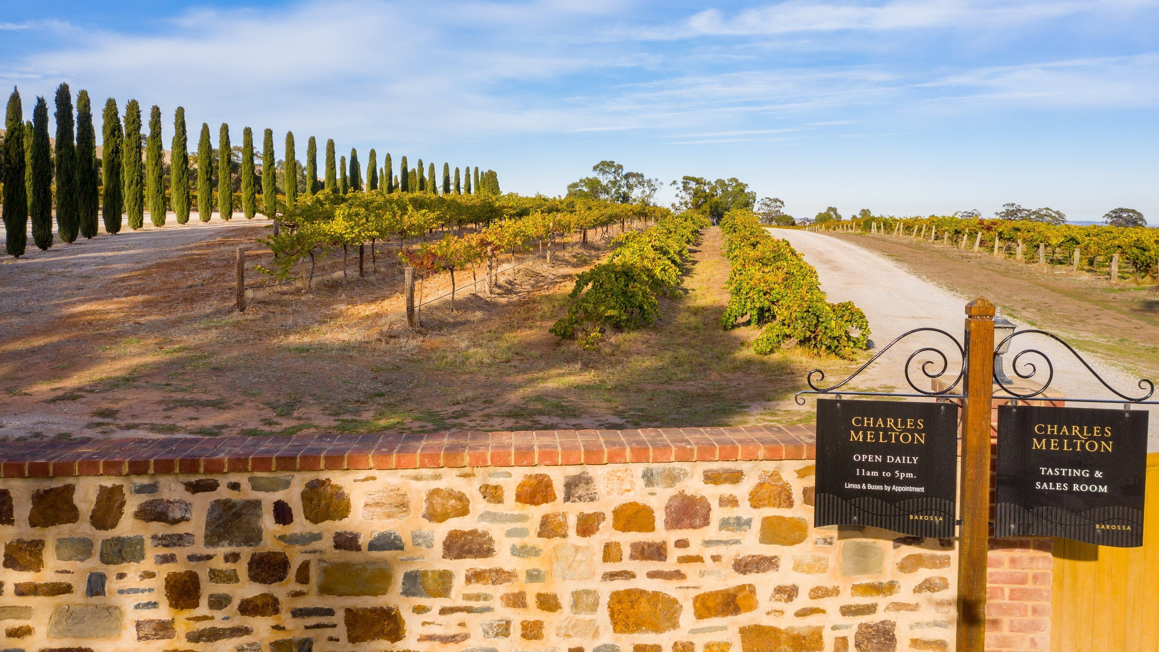 A vineyard with rows of grapevines and a stone wall with signs for Charles Melton.