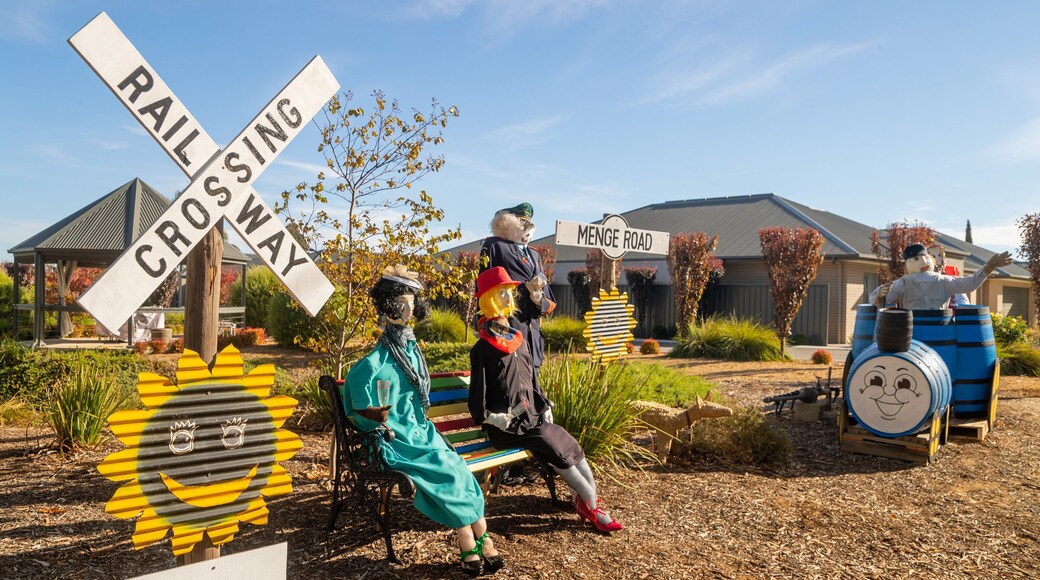 Tanunda showing outdoor art and signage