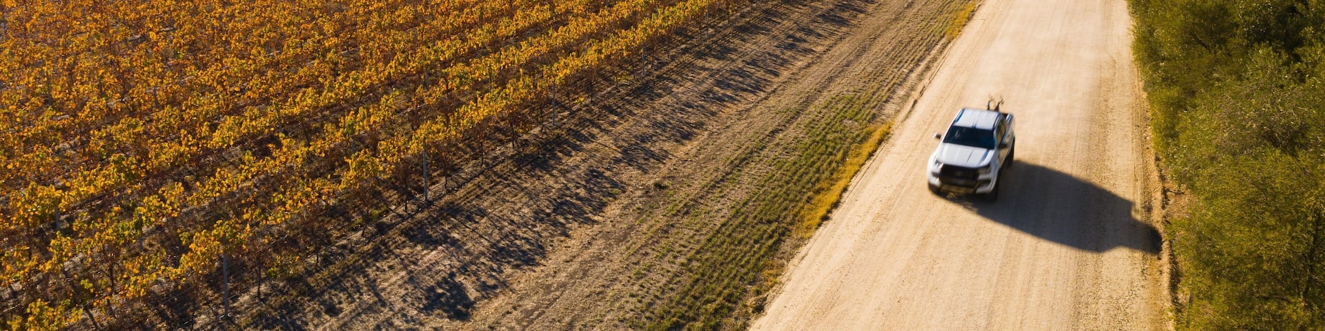 Tanunda featuring farmland, landscape views and 4 wheel driving