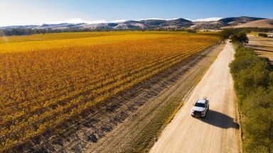 Tanunda featuring farmland, landscape views and 4 wheel driving