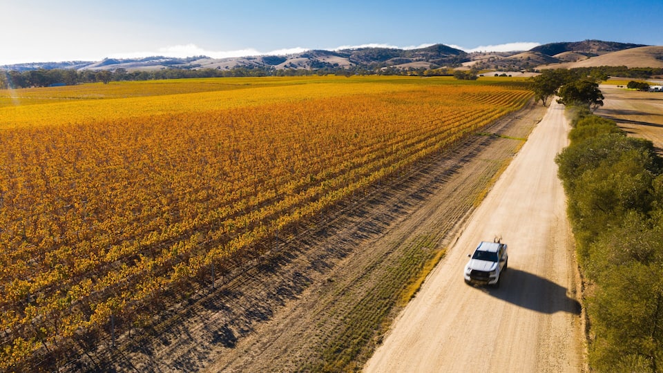 A white vehicle driving on a dirt road through a field of yellow flowers, with hills in the background.