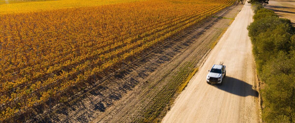 A white vehicle driving on a dirt road through a field of yellow flowers, with hills in the background.