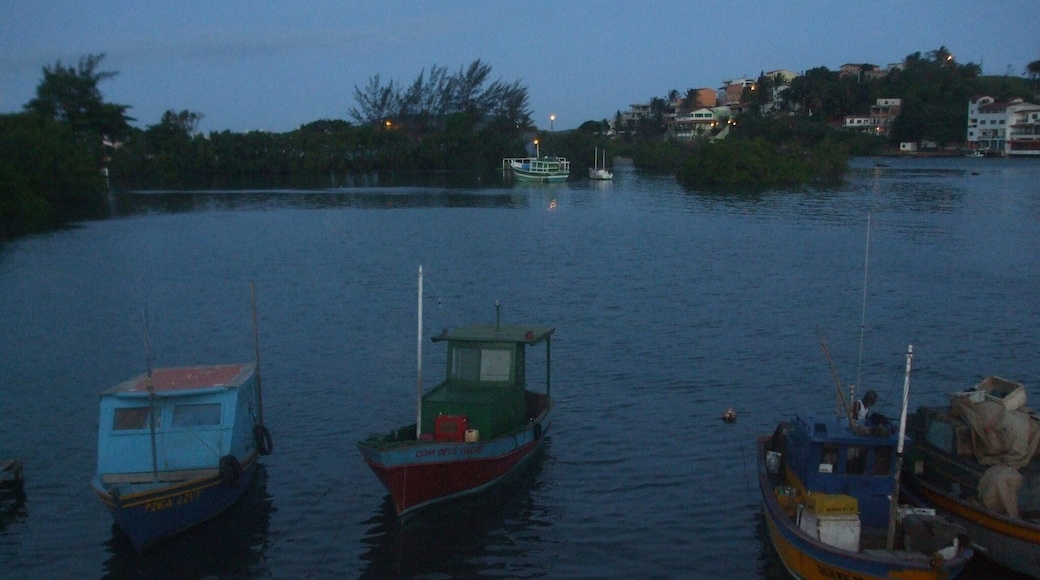 Serene harbour scene