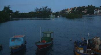 Serene harbour scene