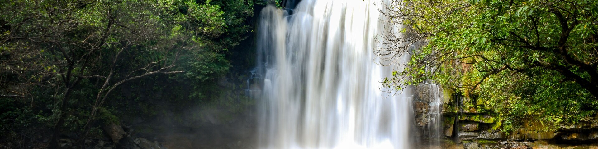 Una cascada rodeada de follaje verde exuberante.