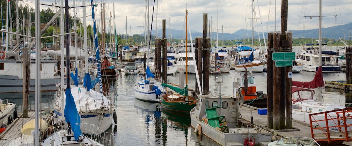 A marina with various boats docked, wooden pilings, and a mountainous landscape in the background.