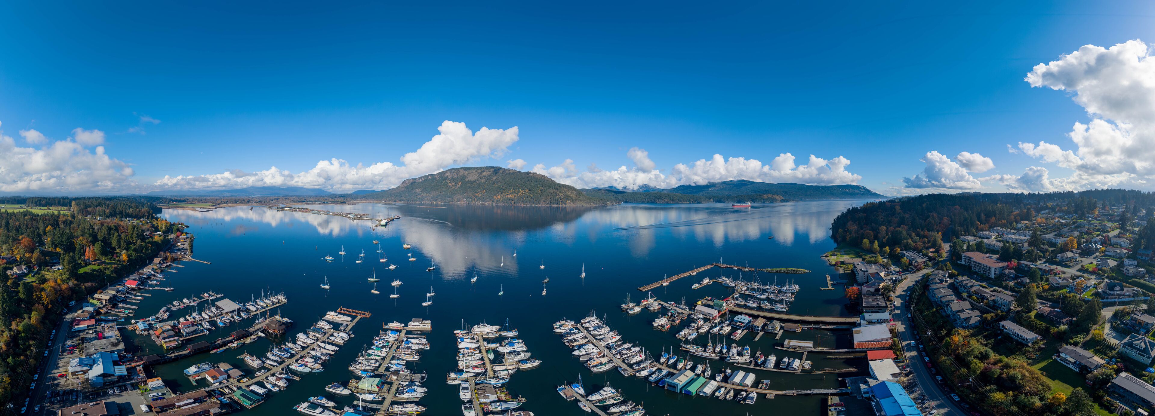 A marina with numerous boats docked, surrounded by a forested area and a mountain in the distance.